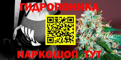Альфа ПВП Пугачёв