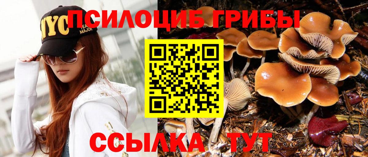 Галлюциногенные грибы мухоморы  дарнет шоп  Таганрог  Вход с VPN 